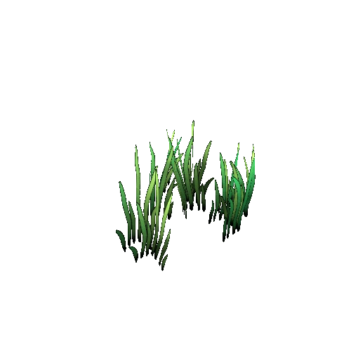 S_Grass E